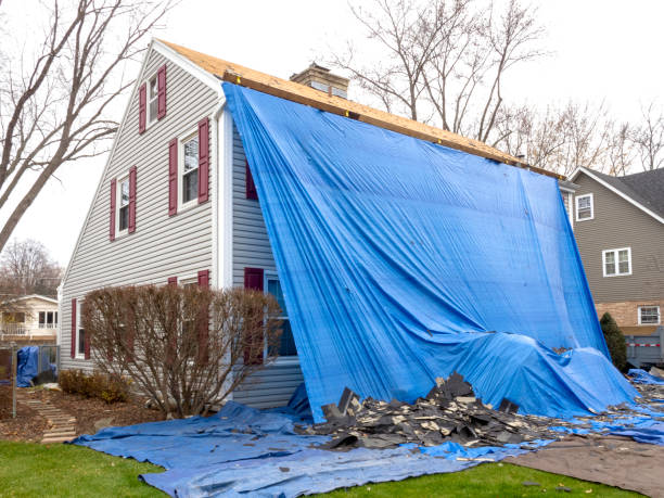 Best Same-Day Junk Removal Services  in Town N Country, FL
