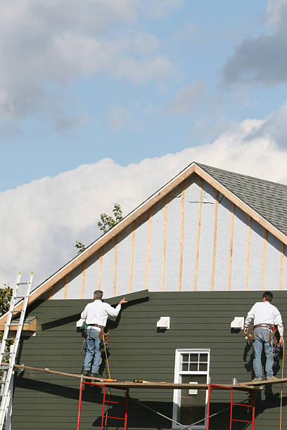 Best Shed Removal  in Town N Country, FL