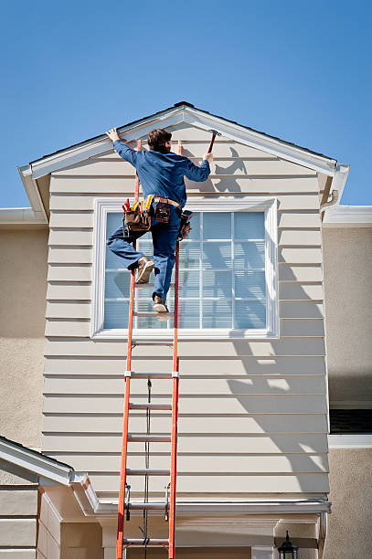 Best Hoarding Cleanup  in Town N Country, FL